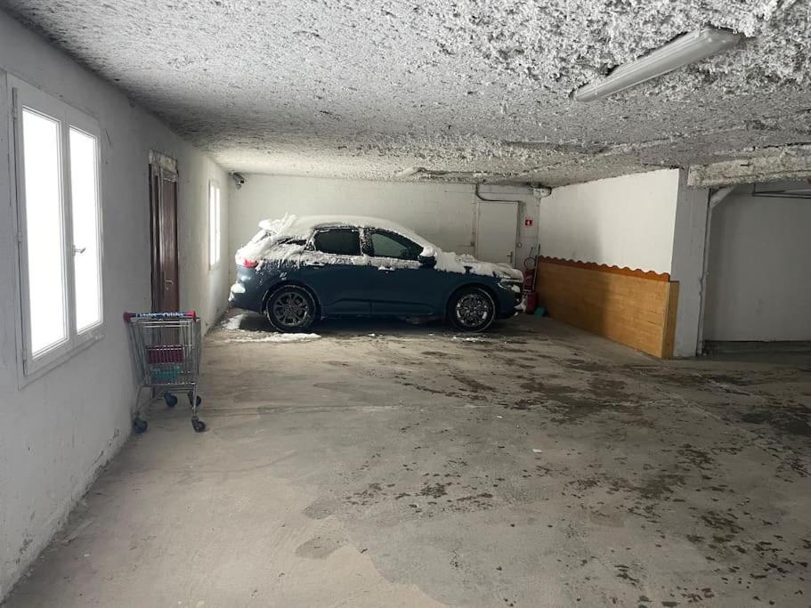 Appartement App 4-6 Pers Avec 1 Place Garage 100m Pistes Plein Centre Les Deux Alpes